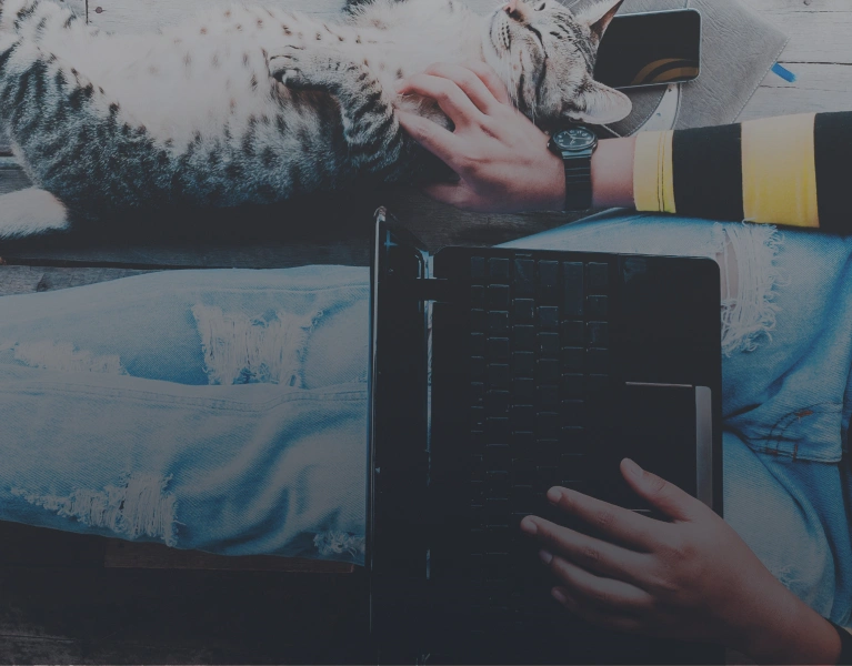 Kárbejelentés és dokumentumtár